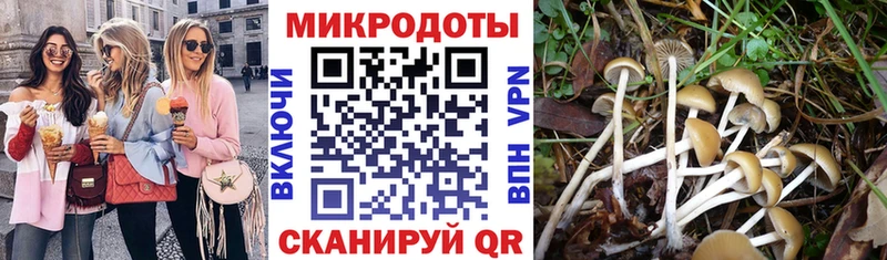 Купить где  Дно  Псилоцибиновые грибы ЛСД 